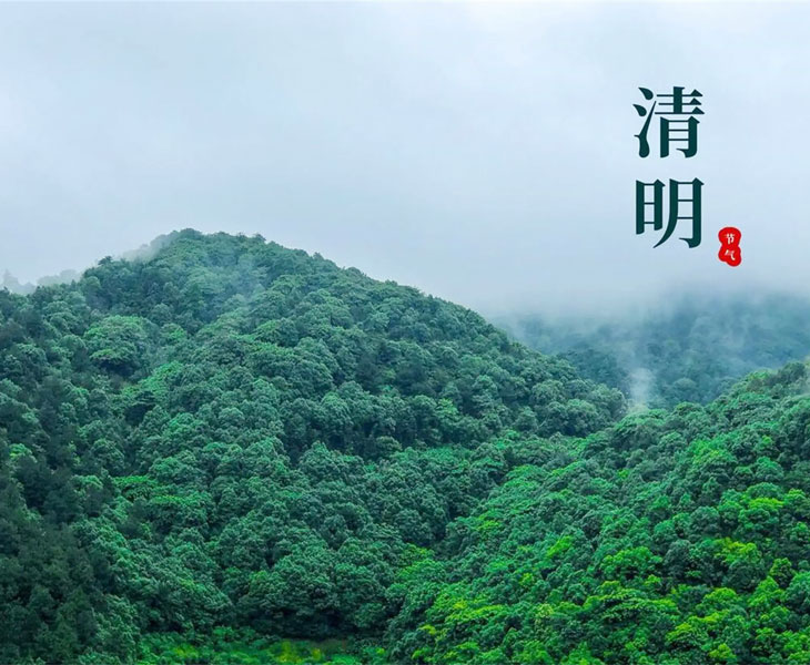 2025年清明节放假通知